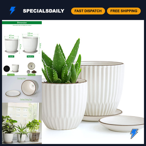 Pack stoneware planter - 2-pack,